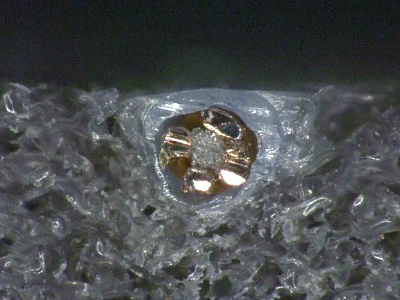 image:Cross-sectional view
